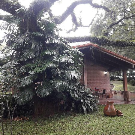 Hostel Terrazas Del Coya San Salvador de Jujuy Zewnętrze zdjęcie
