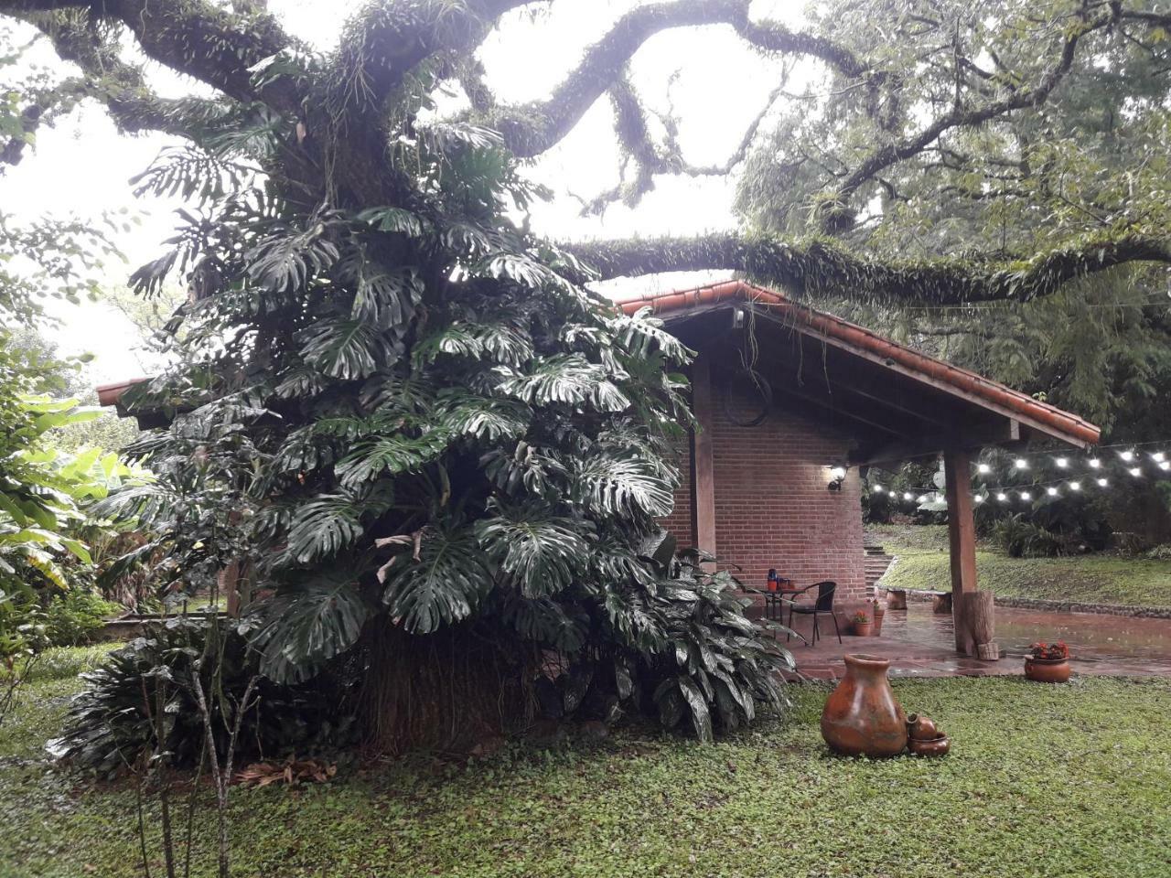 Hostel Terrazas Del Coya San Salvador de Jujuy Zewnętrze zdjęcie